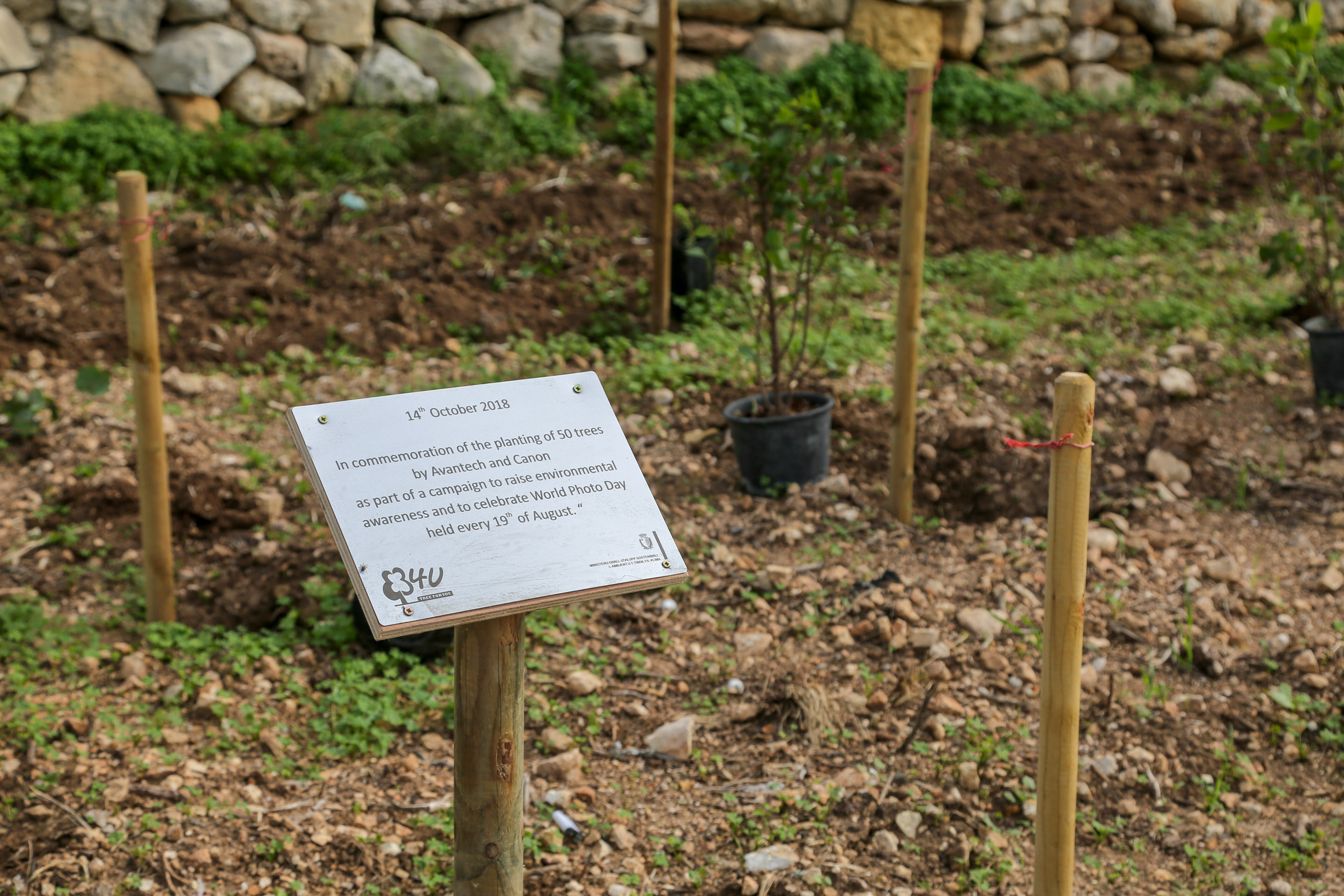 Tree Planting Plaque