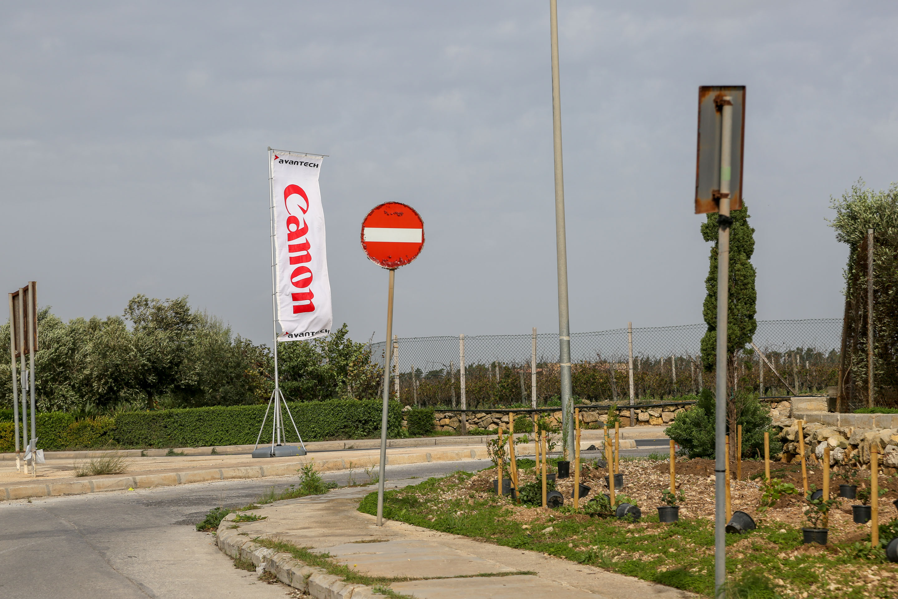 Tree Planting Flag