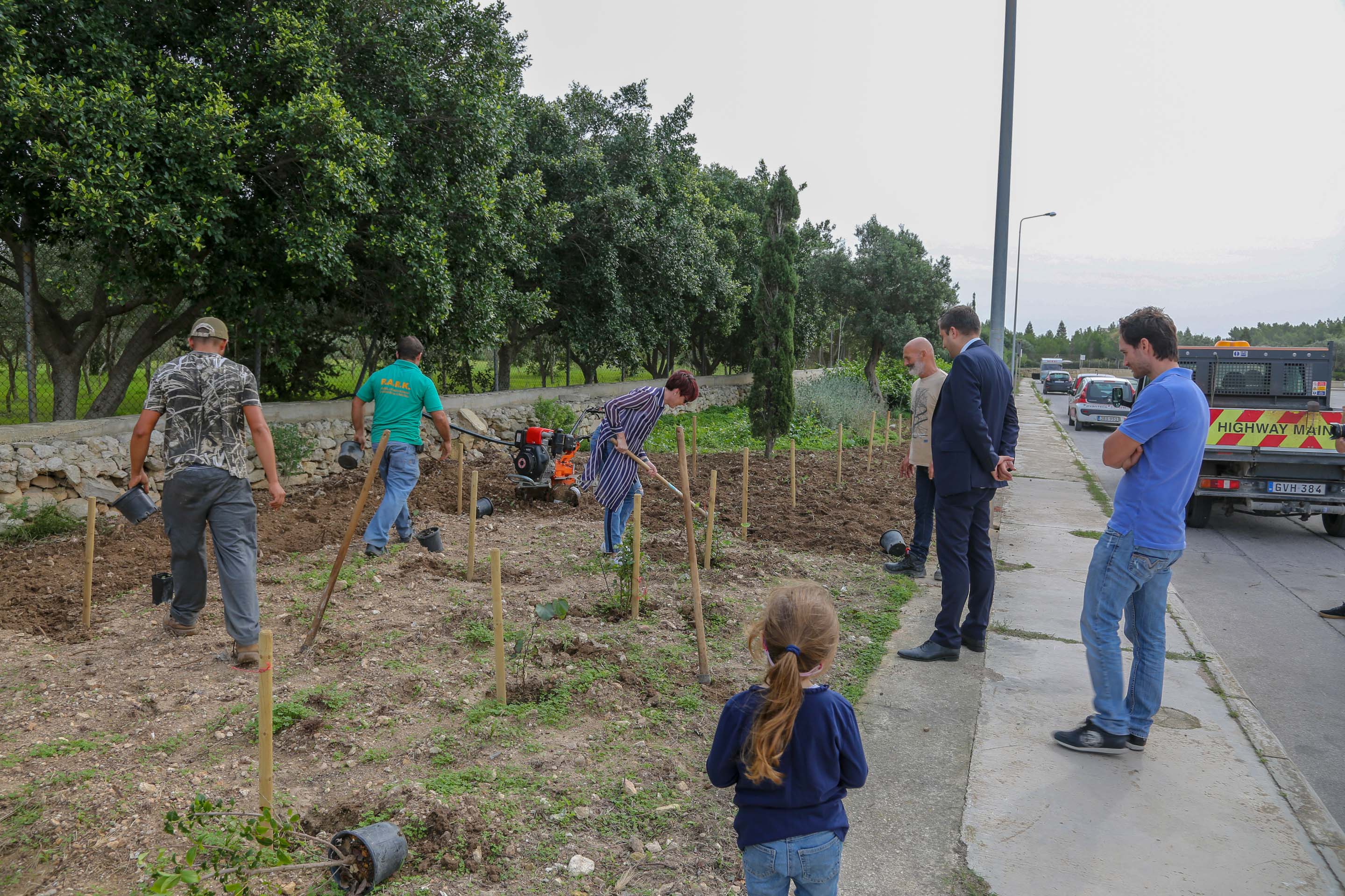 Tree Planting Site