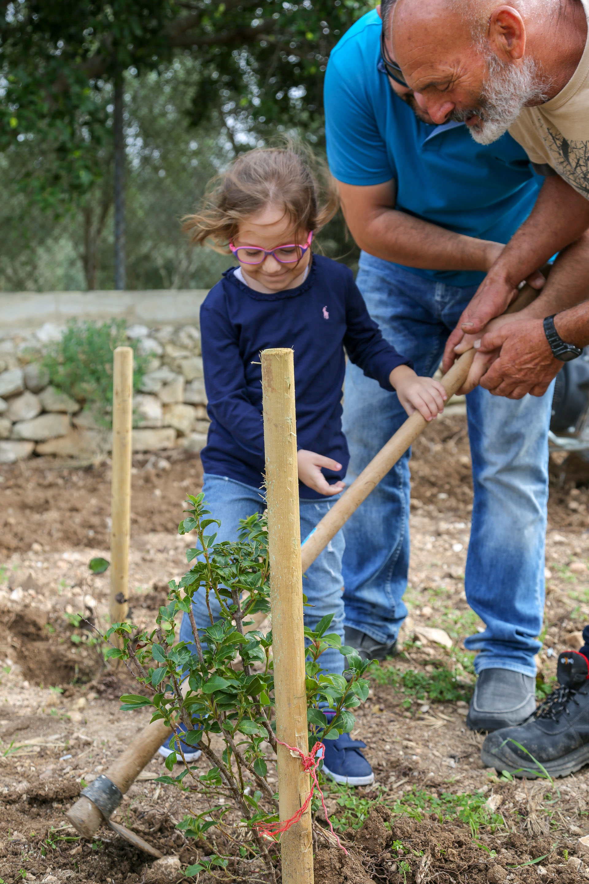 Tree Planting Robert