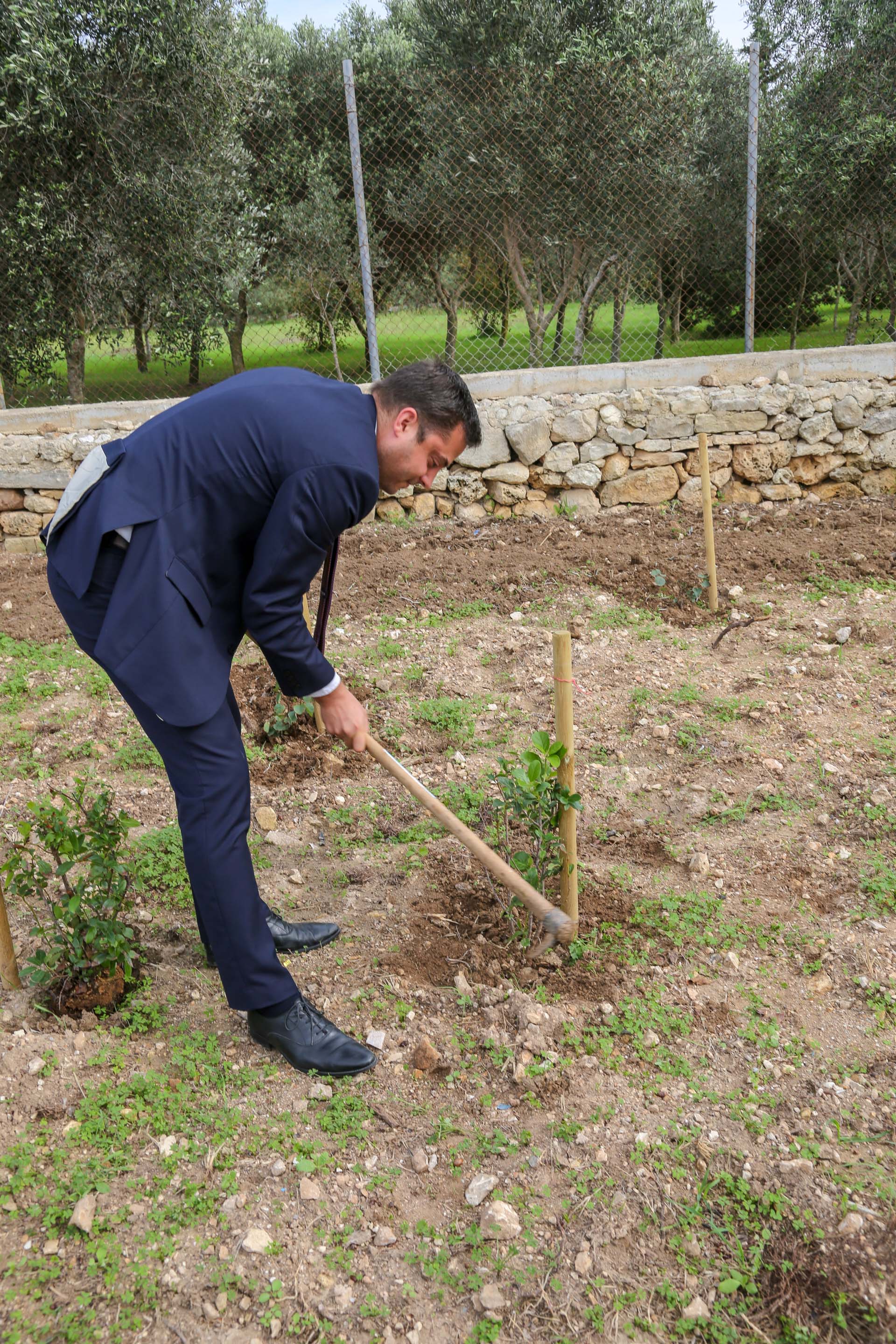 Tree Planting Mr Borg Manche planting