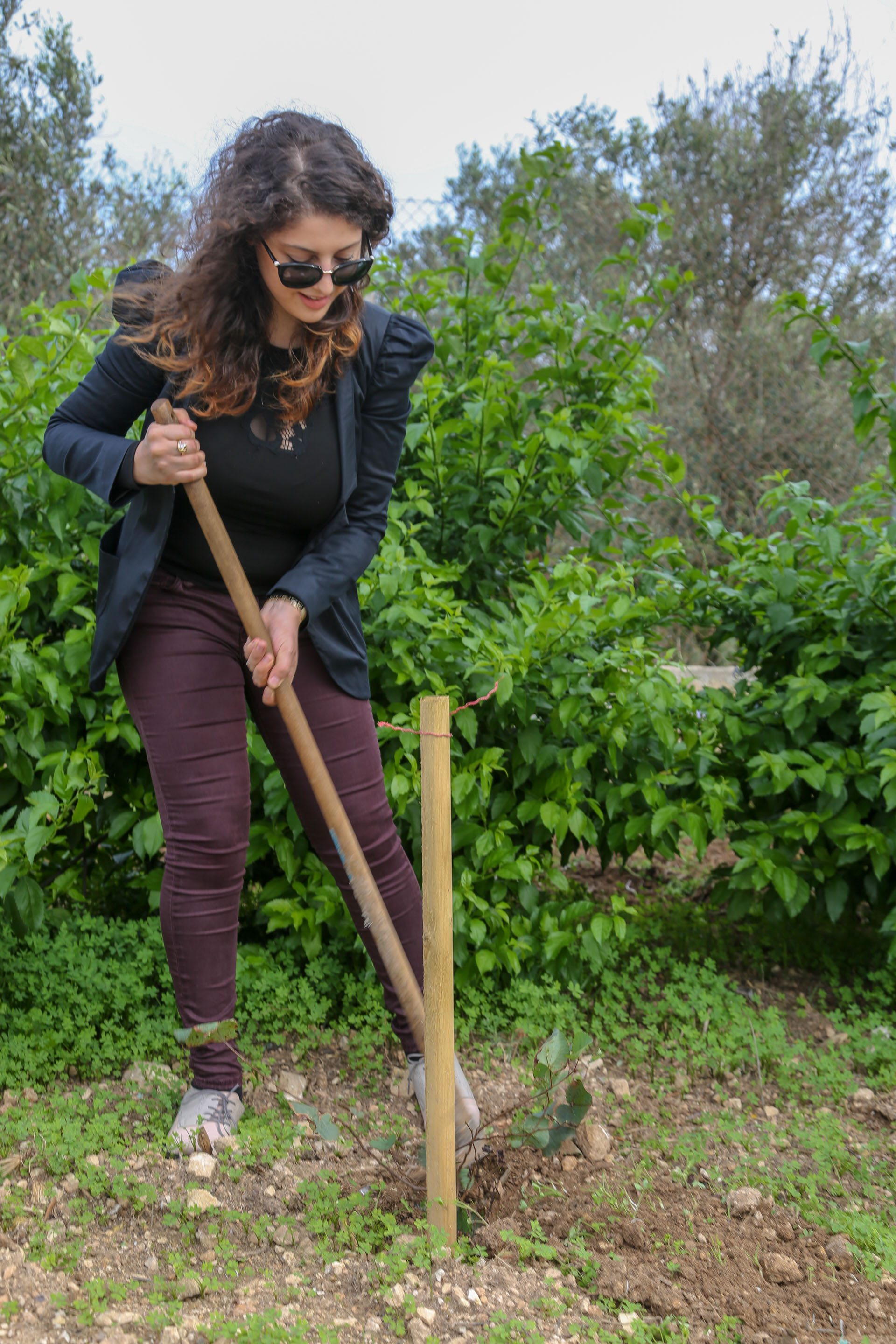 Tree Planting Charleen